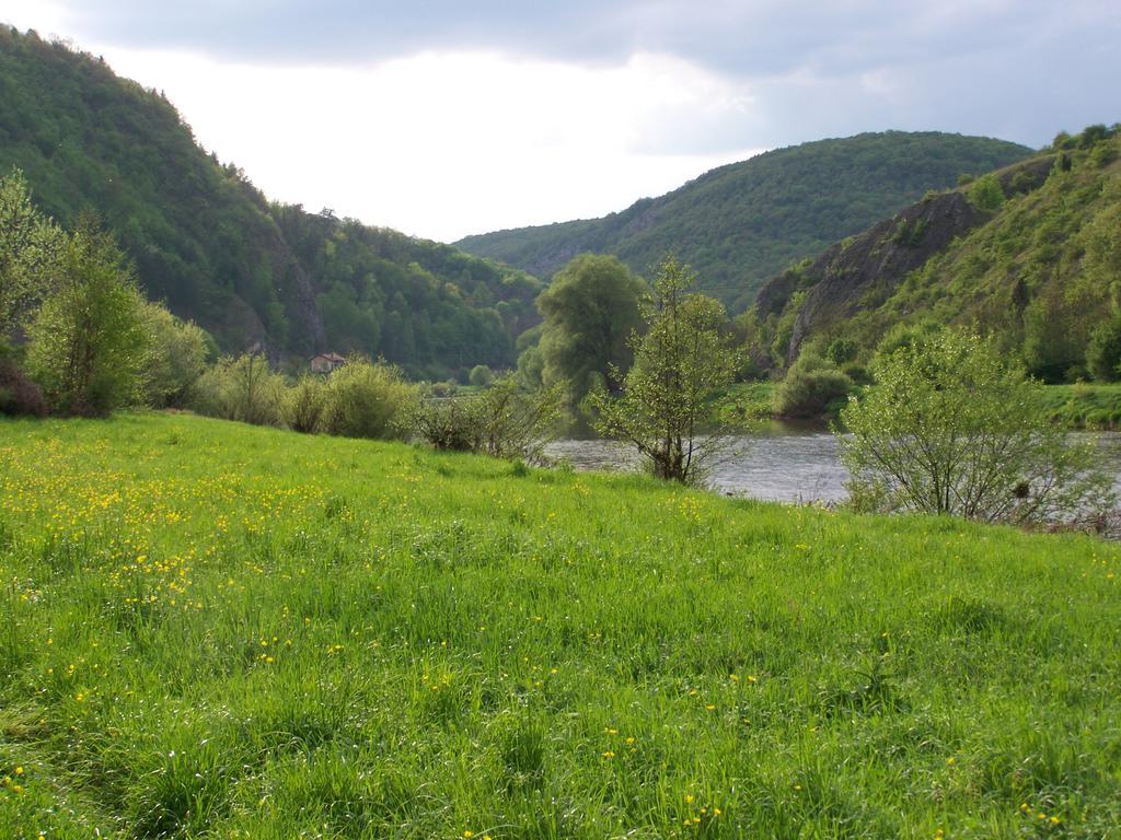 Restaurace A Penzion U Lva Karlštejn Eksteriør billede